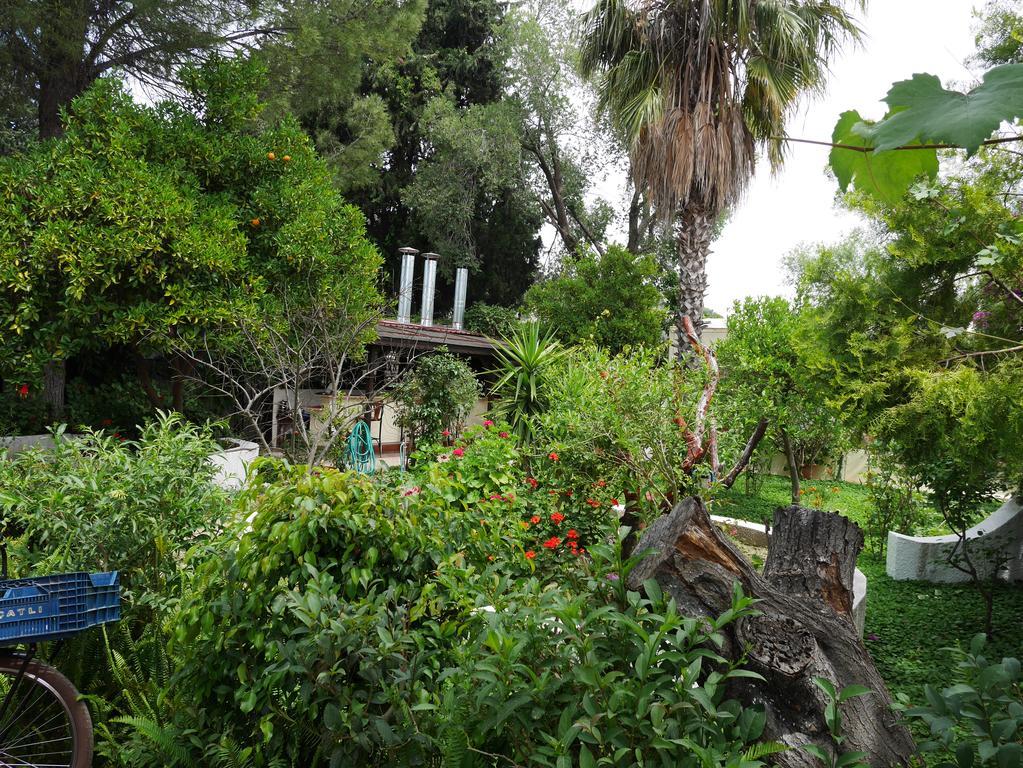 Longhouse Inn Hotel Dalyan Eksteriør bilde